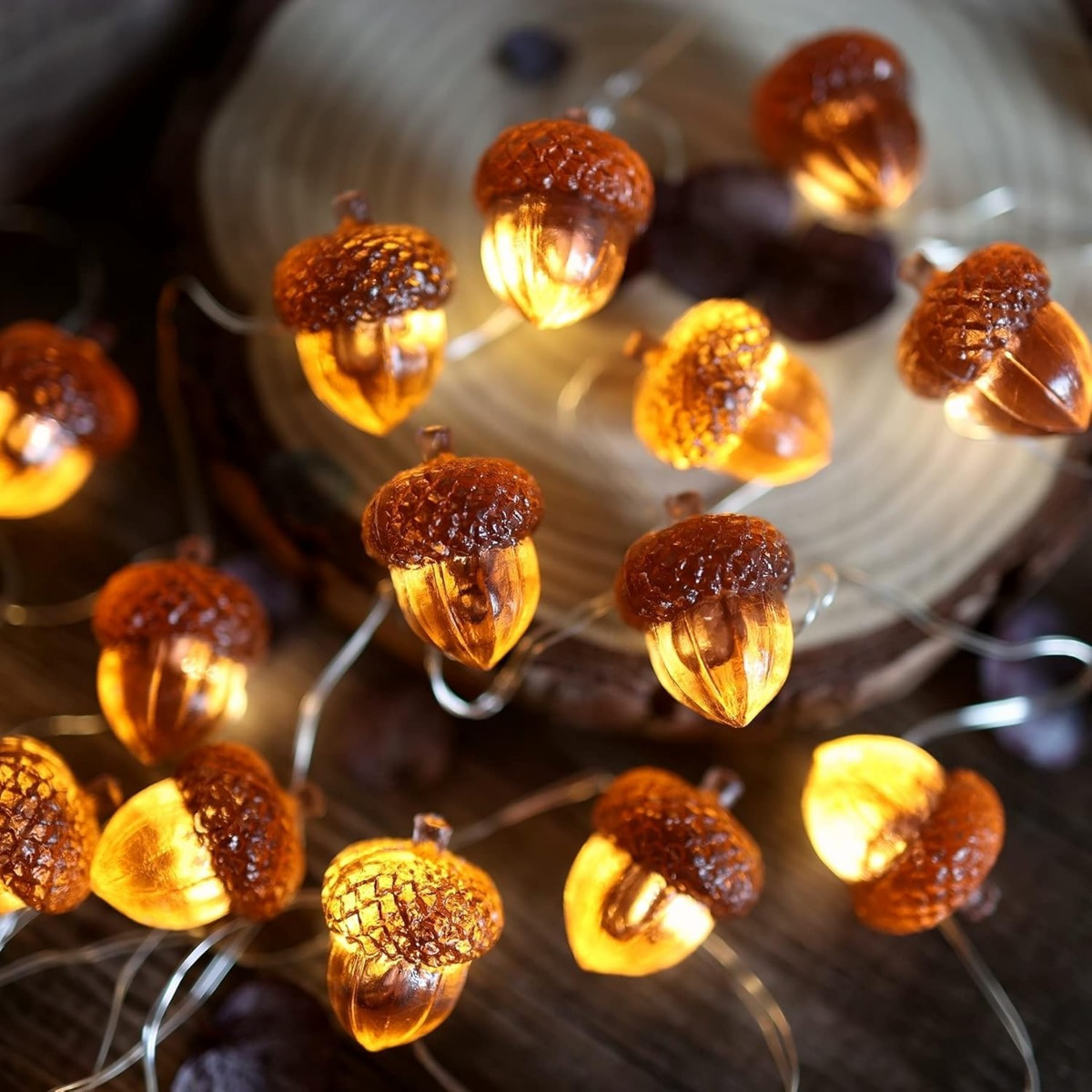 Led Fairy String Lights - 30 LED Meşe Palamudu Dize Işıklar